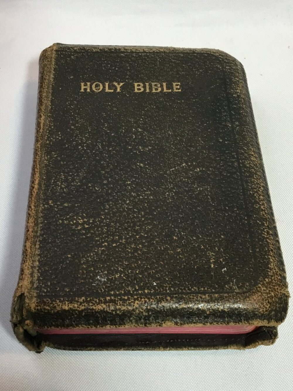 Holy Bible Self Pronouncing King James Version World Publishing Co. Leather